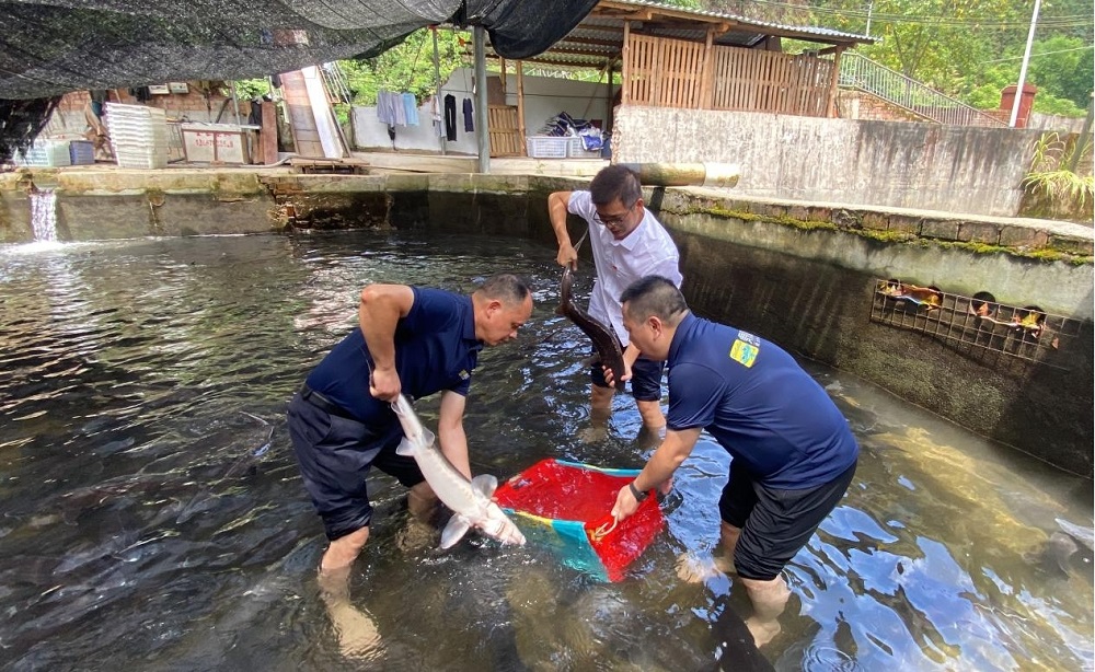 尊龙凯时【最新官网】人生就是搏!