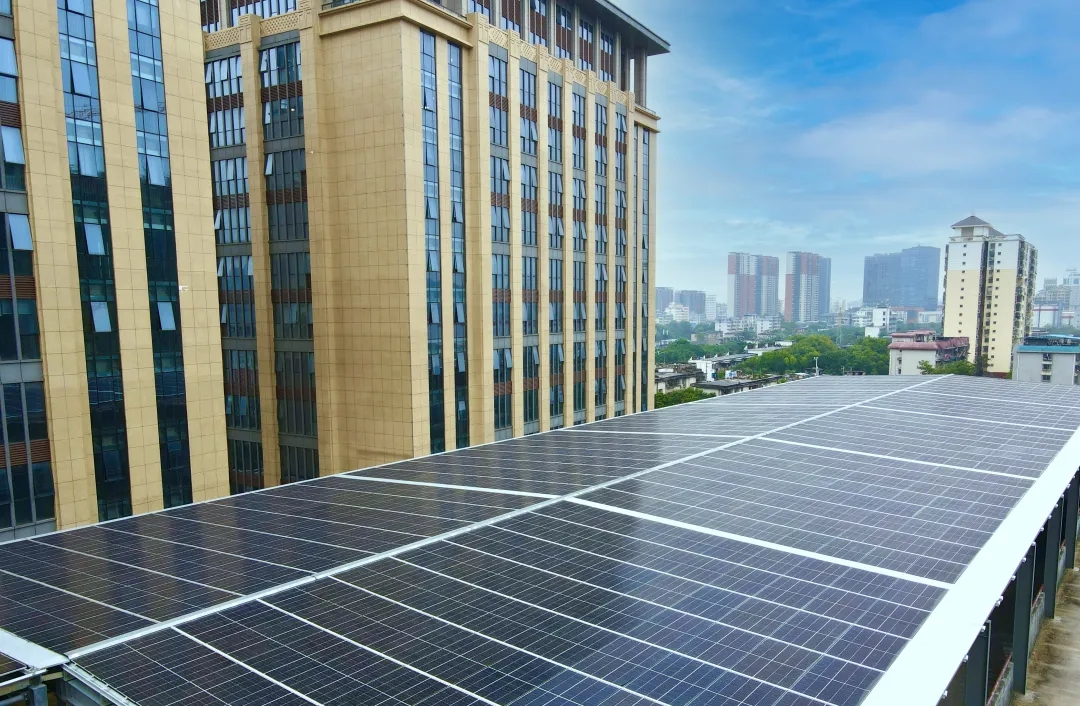 尊龙凯时【最新官网】人生就是搏!